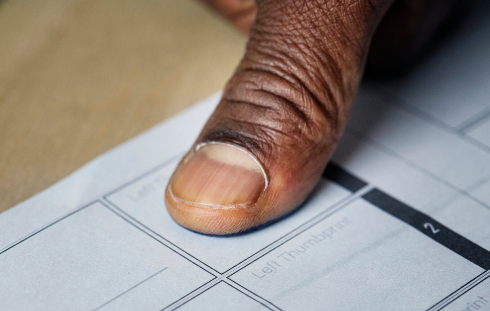 Democracia e Direitos Humanos